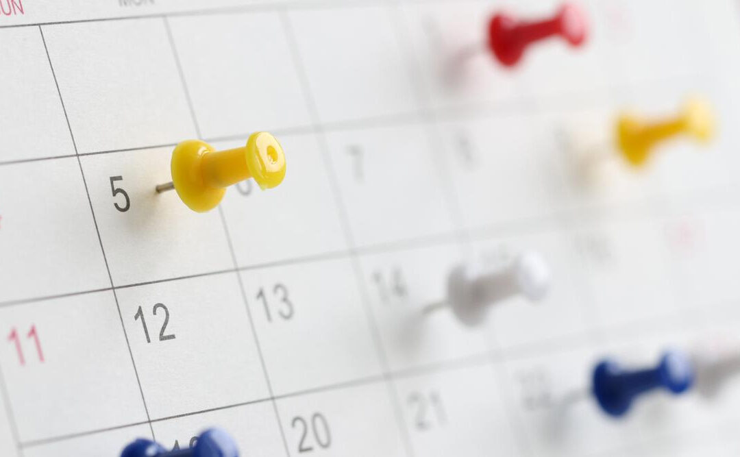 Sin publicar diario no creces, ¿por qué necesitas un calendario de publicaciones?